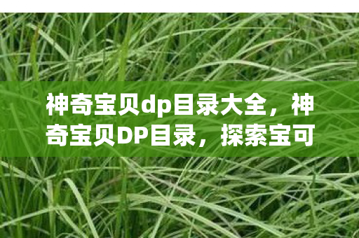神奇宝贝dp目录大全，神奇宝贝DP目录，探索宝可梦世界的奇妙之旅