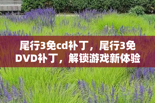 尾行3免cd补丁，尾行3免DVD补丁，解锁游戏新体验