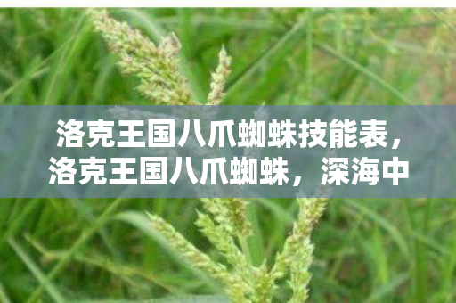 洛克王国八爪蜘蛛技能表，洛克王国八爪蜘蛛，深海中的神秘生物