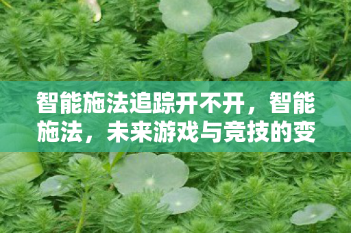 智能施法追踪开不开，智能施法，未来游戏与竞技的变革