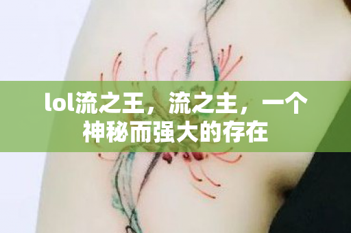 lol流之王，流之主，一个神秘而强大的存在