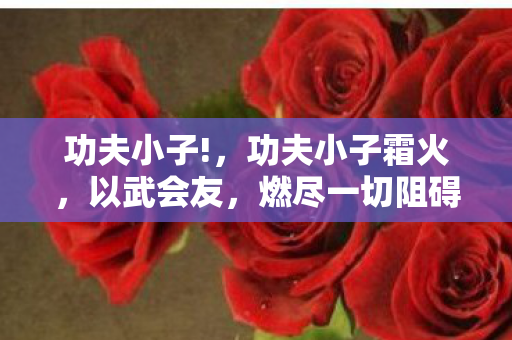 功夫小子!，功夫小子霜火，以武会友，燃尽一切阻碍