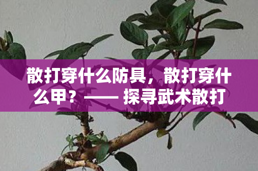 散打穿什么防具，散打穿什么甲？—— 探寻武术散打的装备选择