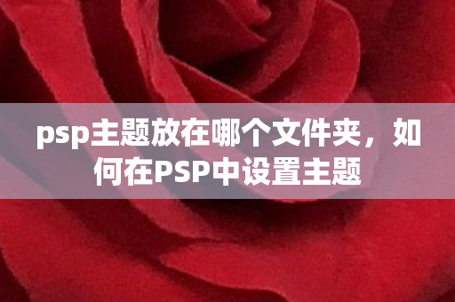 psp主题放在哪个文件夹，如何在PSP中设置主题