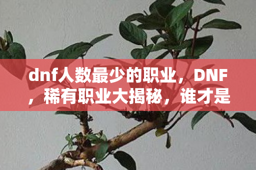 dnf人数最少的职业，DNF，稀有职业大揭秘，谁才是最少人玩的职业？