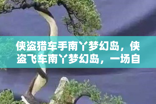 侠盗猎车手南丫梦幻岛，侠盗飞车南丫梦幻岛，一场自由与冒险的传奇之旅