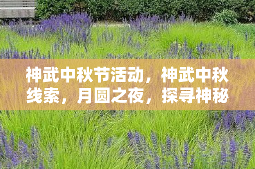 神武中秋节活动，神武中秋线索，月圆之夜，探寻神秘盛宴的奥秘