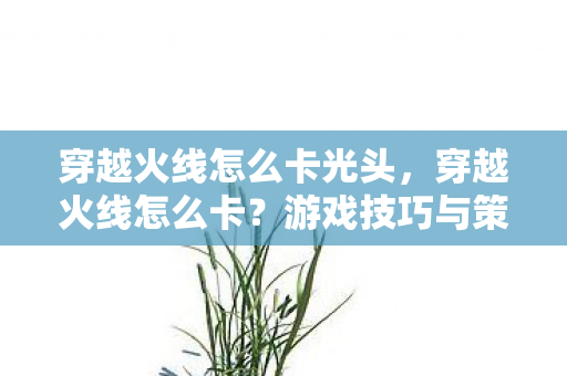 穿越火线怎么卡光头,穿越火线怎么卡?游戏技巧与策略分享 穿越火线怎么卡光头,穿越火线怎么卡?游戏技巧与策略分享