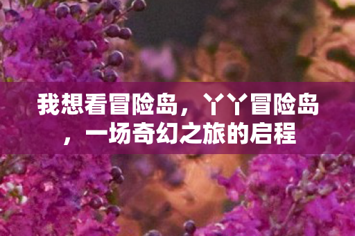 我想看冒险岛，丫丫冒险岛，一场奇幻之旅的启程