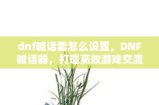 dnf喊话套怎么设置,DNF喊话器,打造高效游戏交流的必备神器 dnf喊话套怎么设置,DNF喊话器,打造高效游戏交流的必备神器