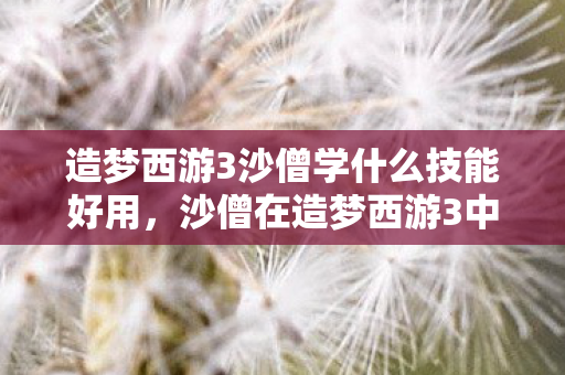 造梦西游3沙僧学什么技能好用，沙僧在造梦西游3中的技能选择指南