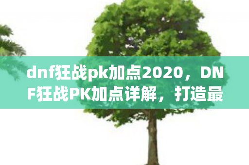 dnf狂战pk加点2020，DNF狂战PK加点详解，打造最强战斗力的关键