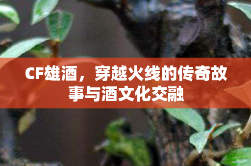 CF雄酒，穿越火线的传奇故事与酒文化交融