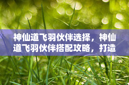 神仙道飞羽伙伴选择，神仙道飞羽伙伴搭配攻略，打造最强战斗组合
