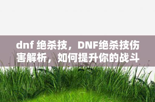 dnf 绝杀技，DNF绝杀技伤害解析，如何提升你的战斗输出