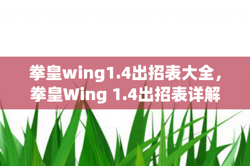 拳皇wing1.4出招表大全，拳皇Wing 1.4出招表详解，解锁新技能，挑战新高度