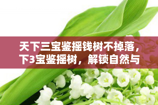 天下三宝鉴摇钱树不掉落，下3宝鉴摇树，解锁自然与文化的神秘密码