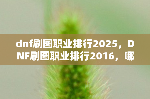dnf刷图职业排行2025，DNF刷图职业排行2016，哪些职业最适合你的游戏风格？