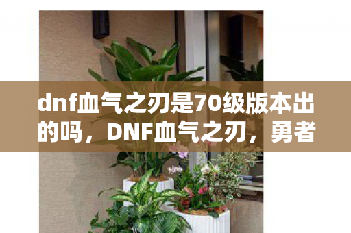 dnf血气之刃是70级版本出的吗，DNF血气之刃，勇者的战斗艺术