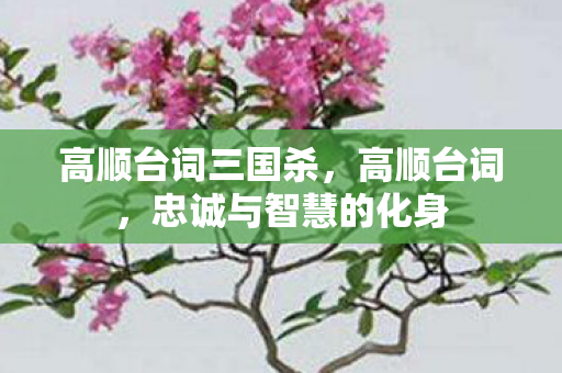 高顺台词三国杀，高顺台词，忠诚与智慧的化身