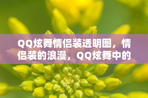 QQ炫舞情侣装透明图，情侣装的浪漫，QQ炫舞中的时尚情缘