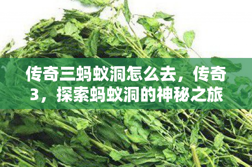 传奇三蚂蚁洞怎么去，传奇3，探索蚂蚁洞的神秘之旅