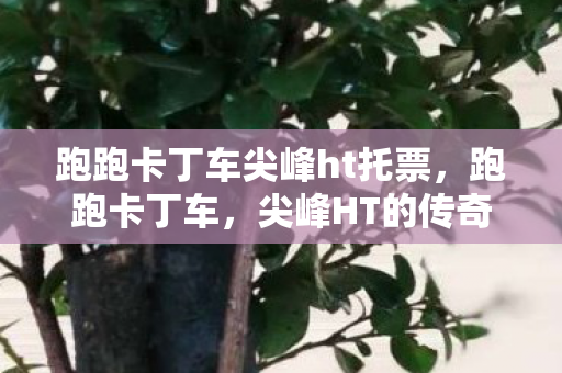 跑跑卡丁车尖峰ht托票，跑跑卡丁车，尖峰HT的传奇之路
