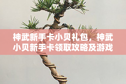 神武新手卡小贝礼包，神武小贝新手卡领取攻略及游戏指南