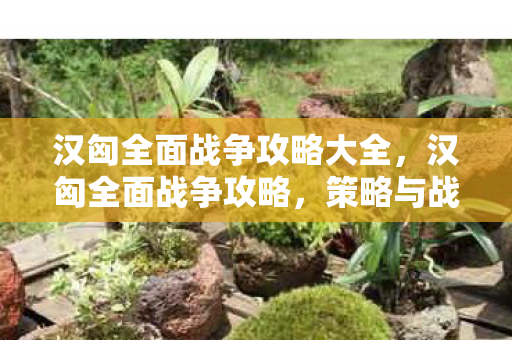 汉匈全面战争攻略大全，汉匈全面战争攻略，策略与战术的完美结合