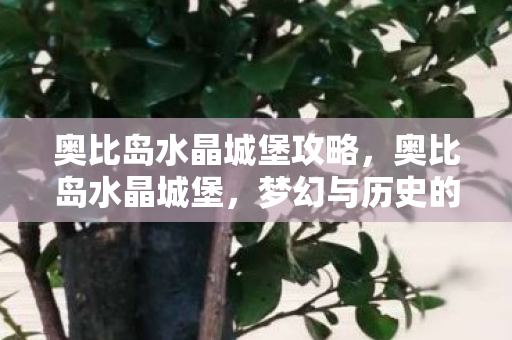 奥比岛水晶城堡攻略，奥比岛水晶城堡，梦幻与历史的交织