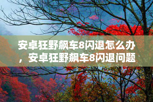 安卓狂野飙车8闪退怎么办，安卓狂野飙车8闪退问题解决方案