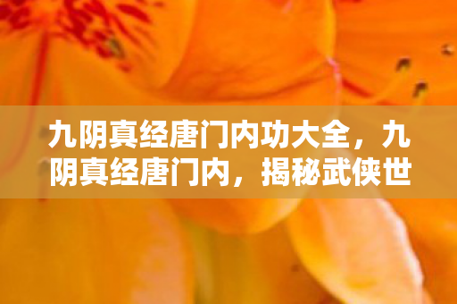 九阴真经唐门内功大全，九阴真经唐门内，揭秘武侠世界的神秘门派