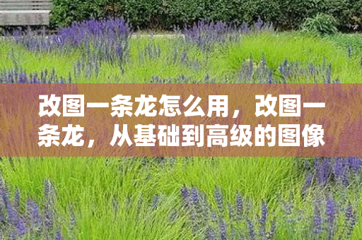 改图一条龙怎么用，改图一条龙，从基础到高级的图像处理全攻略