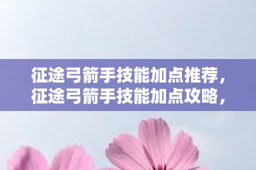 征途弓箭手技能加点推荐，征途弓箭手技能加点攻略，打造高效战斗力的关键
