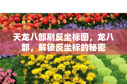 天龙八部刷反坐标图，龙八部，解锁反坐标的秘密