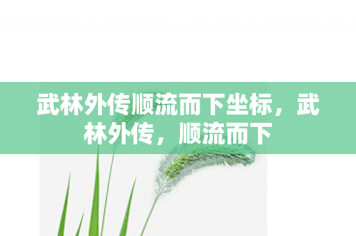 武林外传顺流而下坐标，武林外传，顺流而下