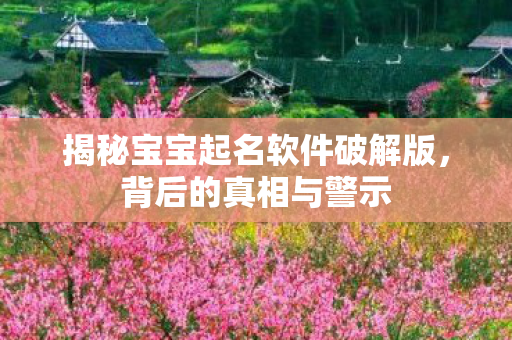 揭秘宝宝起名软件破解版,背后的真相与警示 揭秘宝宝起名软件破解版,背后的真相与警示