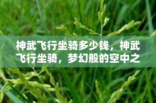 神武飞行坐骑多少钱，神武飞行坐骑，梦幻般的空中之旅