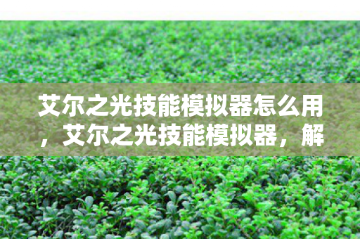 艾尔之光技能模拟器怎么用，艾尔之光技能模拟器，解锁你的战斗潜能