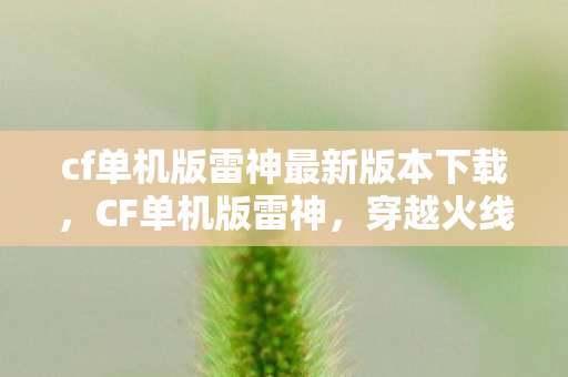 cf单机版雷神最新版本下载，CF单机版雷神，穿越火线的私人战场
