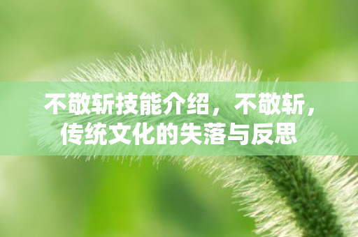 不敬斩技能介绍，不敬斩，传统文化的失落与反思