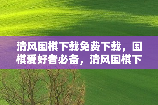 清风围棋下载免费下载，围棋爱好者必备，清风围棋下载指南