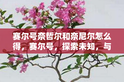 赛尔号奈哲尔和奈尼尔怎么得，赛尔号，探索未知，与奈哲尔共舞