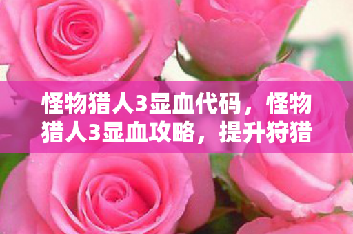 怪物猎人3显血代码，怪物猎人3显血攻略，提升狩猎效率的小技巧