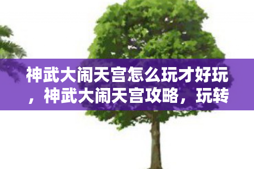 神武大闹天宫怎么玩才好玩，神武大闹天宫攻略，玩转天庭盛宴