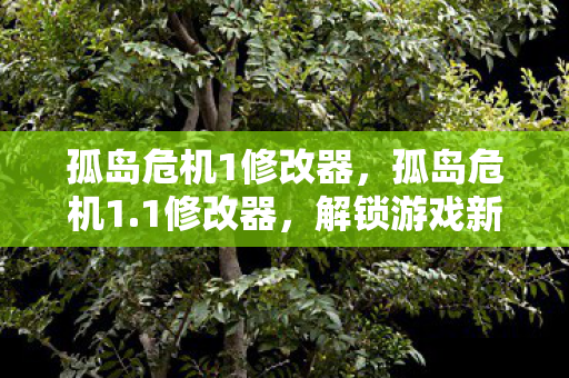 孤岛危机1修改器，孤岛危机1.1修改器，解锁游戏新境界的必备神器