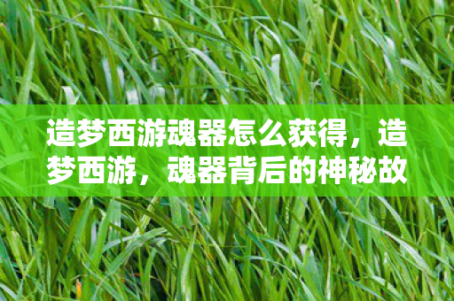 造梦西游魂器怎么获得，造梦西游，魂器背后的神秘故事