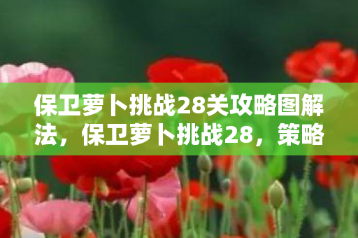 保卫萝卜挑战28关攻略图解法，保卫萝卜挑战28，策略与技巧的完美融合