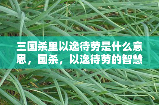 三国杀里以逸待劳是什么意思,国杀,以逸待劳的智慧 三国杀里以逸待劳是什么意思,国杀,以逸待劳的智慧