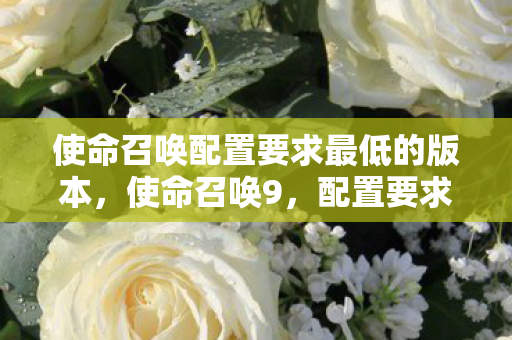 使命召唤配置要求最低的版本，使命召唤9，配置要求详解